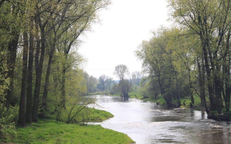 Przedborski Park Krajobrazowy Celem Przedborskiego Parku Krajobrazowego jest ochrona najcenniejszych zjawisk przyrodniczych, kulturowych, krajobrazowych, występujących na jego obszarze.
