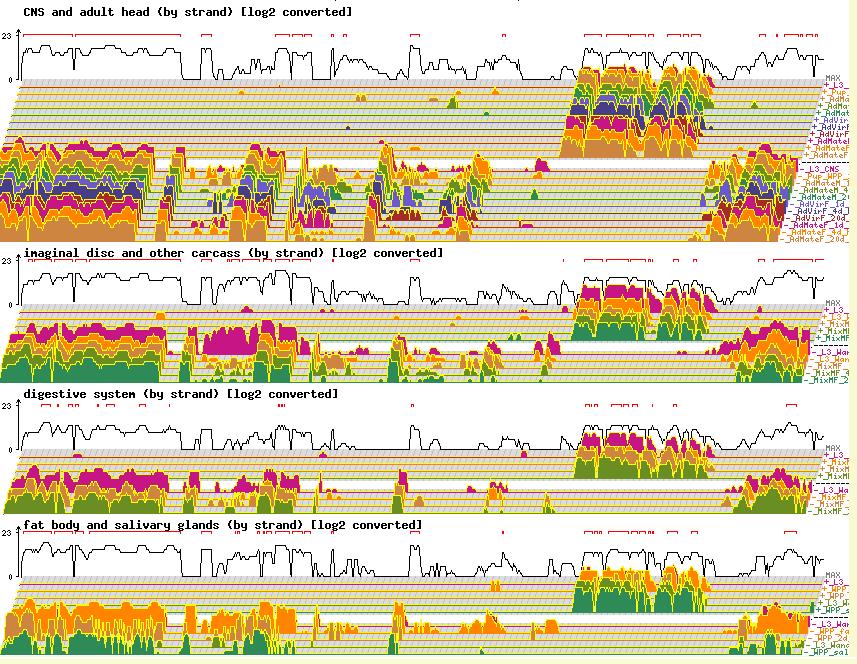 RNA-seq