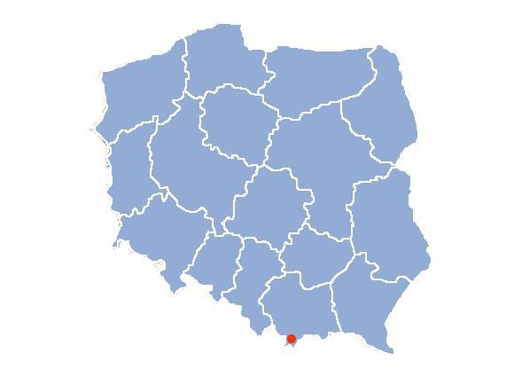 Kontynuacją myśli, działań statutowych SWS AGD jest powołane nowe Stowarzyszenie Właścicieli Serwisów AGD z siedzibą w Toruniu.