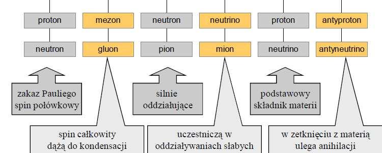 cząstki