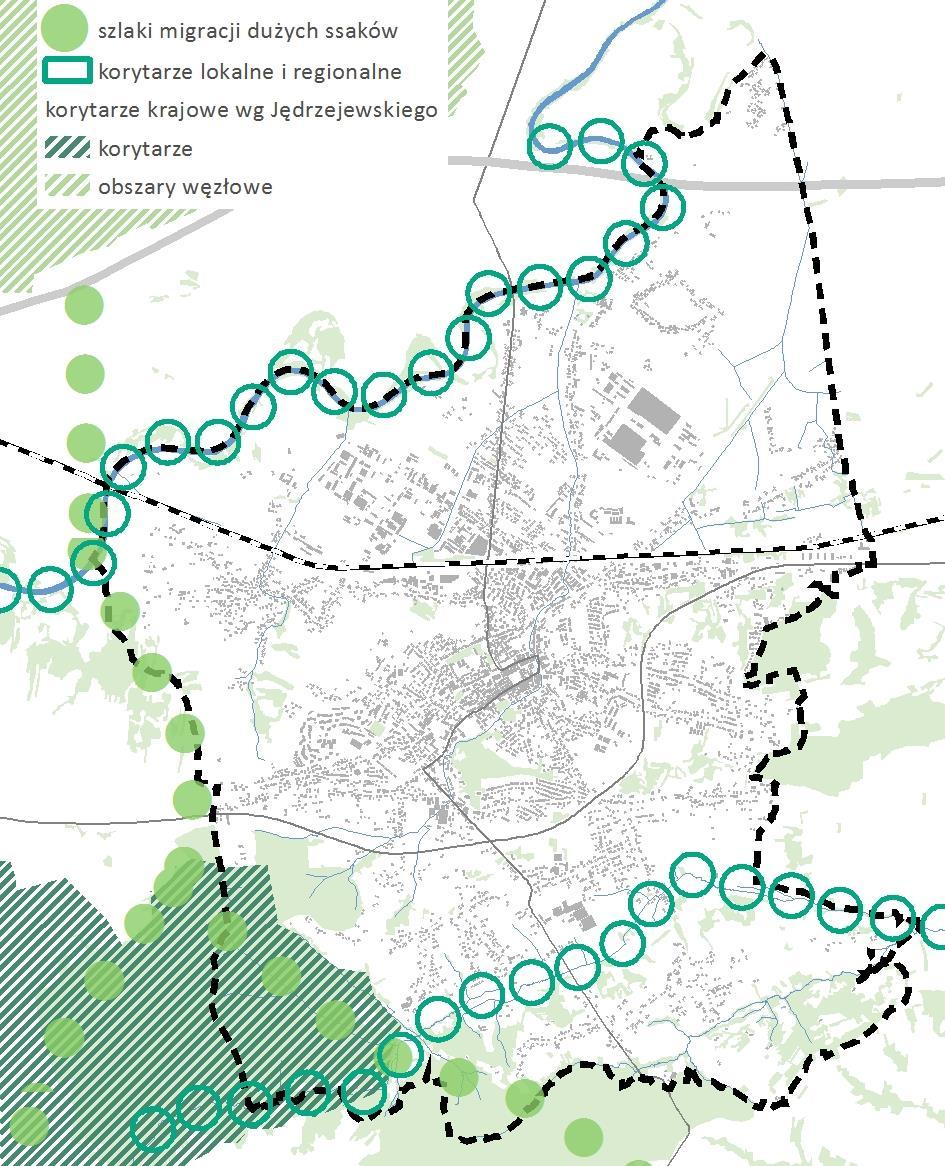 Rysunek 8 Korytarze ekologiczne o znaczeniu krajowym i regionalnym (źródło: opracowanie własne na podstawie map Bing i warstw shp otrzymanych z PAN) Korytarze o znaczeniu regionalnym Są to korytarze
