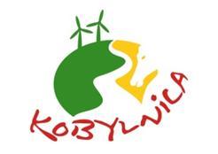 SPRAWOZDANIE Z REALIZACJI PROGRAMU WSPÓŁPRACY GMINY KOBYLNICA Z ORGANIZACJAMI POZARZĄDOWYMI