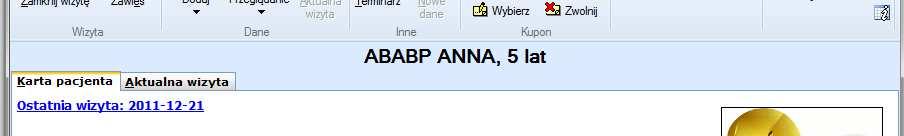 Domyślny widok wizyty zawiera z prawej strony okna panel z podstawowymi informacjami o pacjencie: