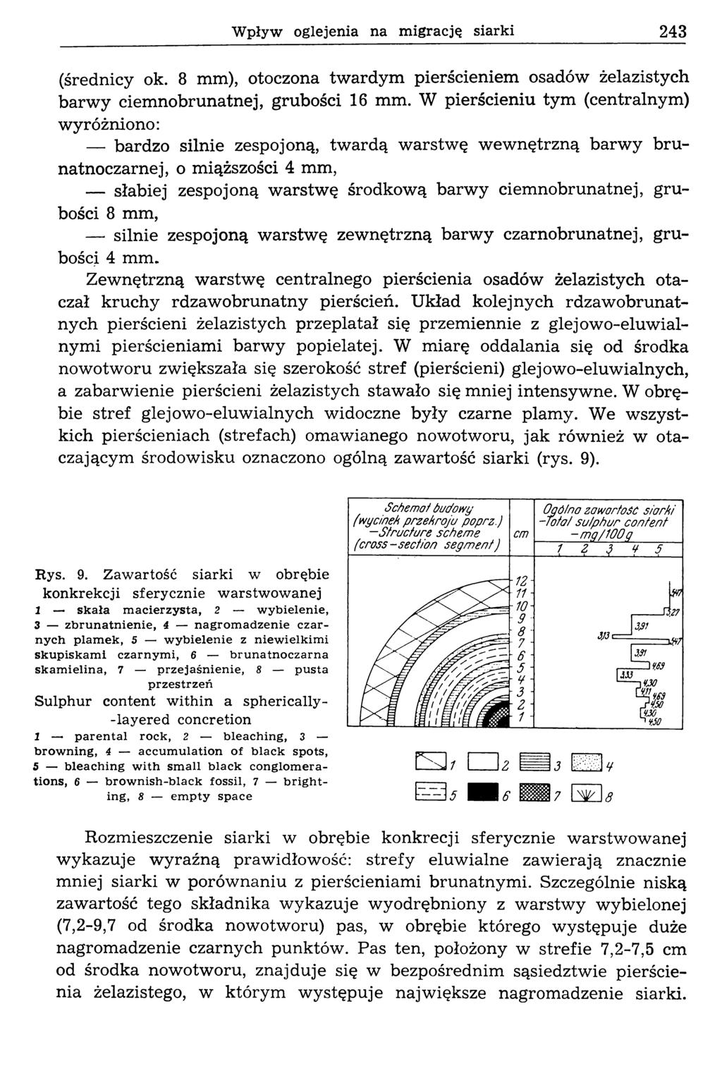 W pływ oglejenia na m igrację siarki 243 (średnicy ok. 8 mm), otoczona tw ardym pierścieniem osadów żelazistych barw y ciem nobrunatnej, grubości 16 mm.
