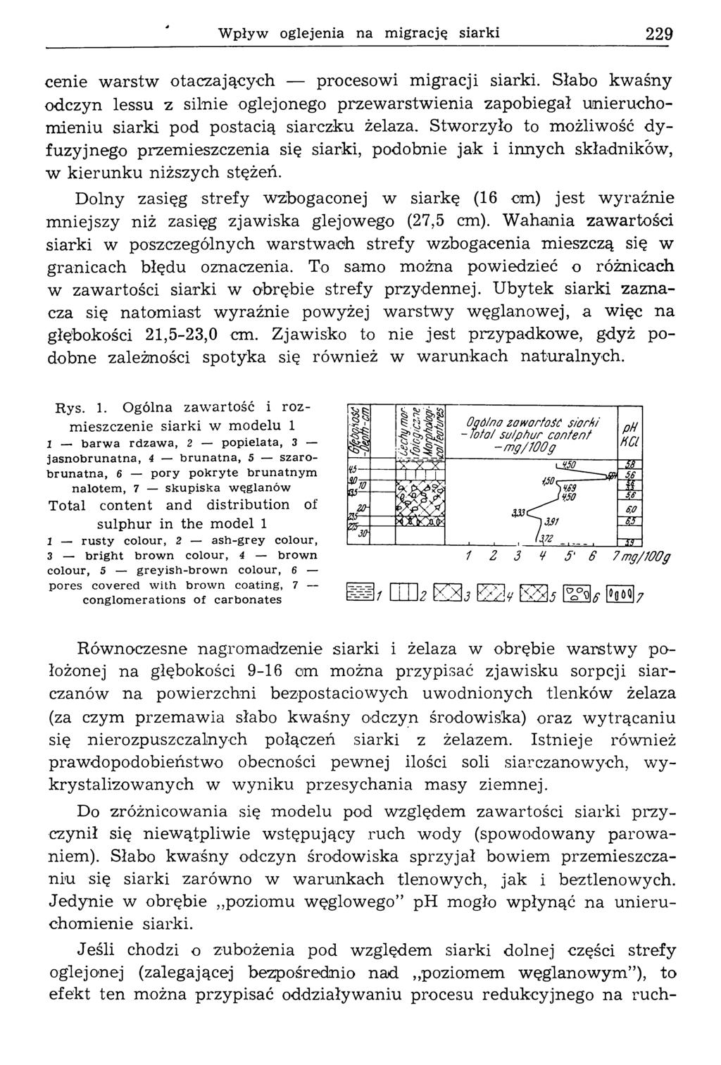 W pływ oglejenia na m igrację siarki 229 cenie w arstw otaczających procesowi m igracji siarki.