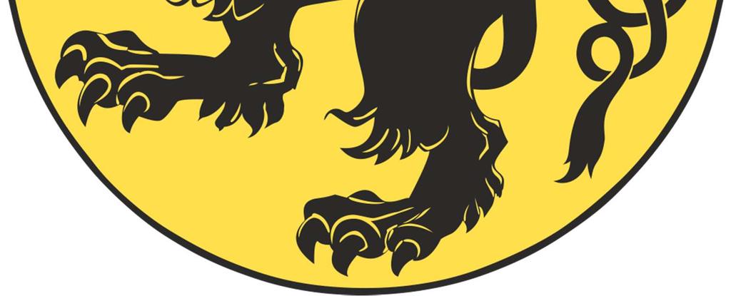 SPRAWOZDANIE Z WYKONANIA BUDŻETU