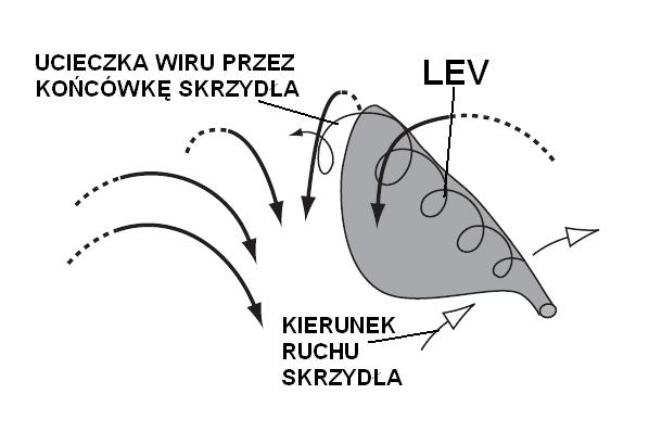 w tej oolicy LEV łączy się z wirem podowiastym, generowanym przez przepływ wzdłuŝ rozpiętości srzydła.
