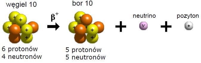 Rozpad β + Jeżeli glukozę C 6 H 12 O 6 poddamy napromieniowaniu w np.