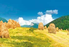 www.slovakia.