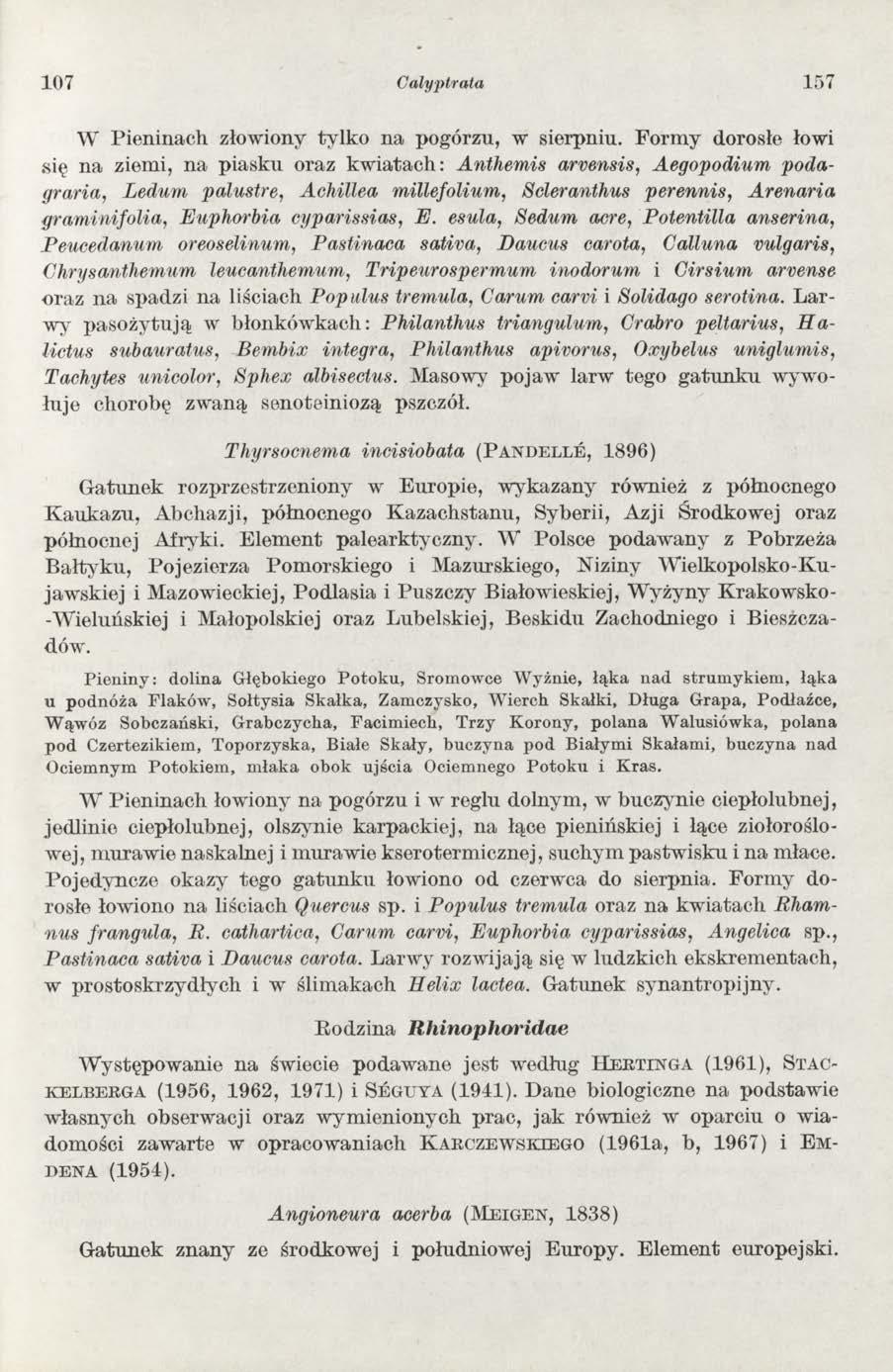 1 07 Calyptrała 157 W Pieninach złowiony tylko na pogórzu, w sierpniu.