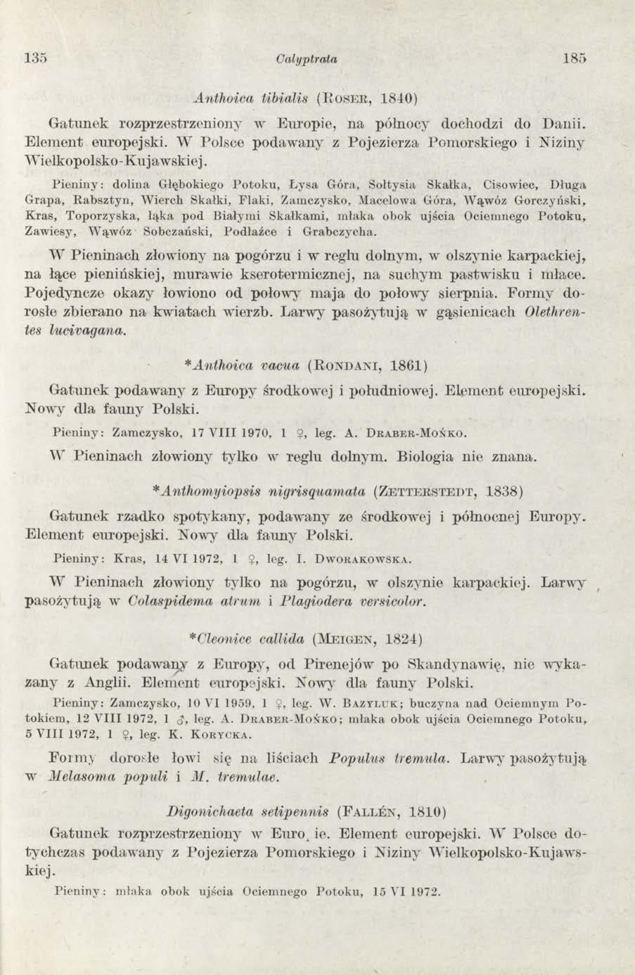 135 Cały pirata 185 Anthoica tibialis (K o s e k, 1840) G atunek rozprzestrzeniony w Europie, na północy dochodzi do D anii. Elem ent europejski.