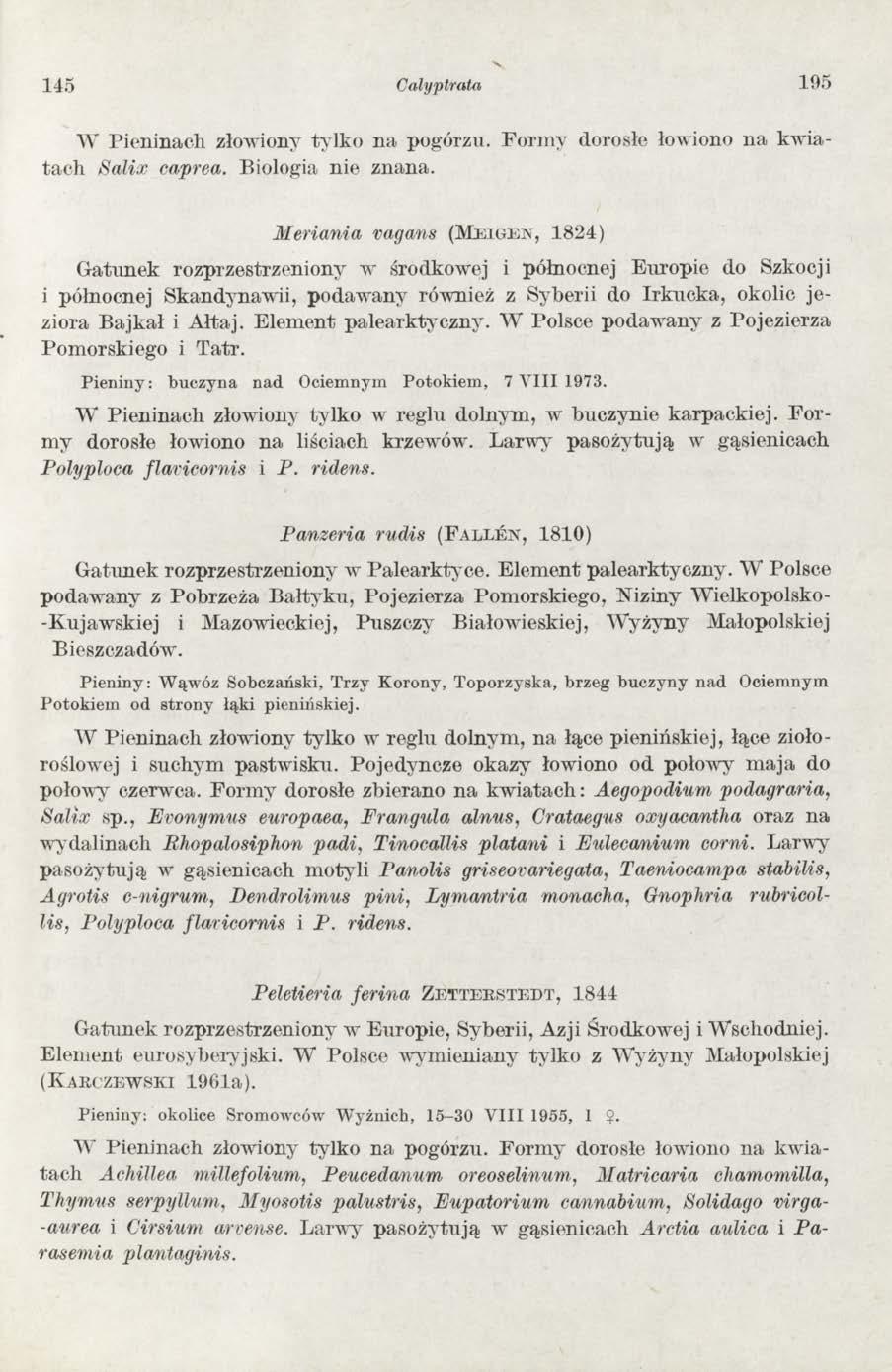 145 C alyptrata 195 W P ieninach złowiony ty lk o n a pogórzu. F o rm y dorosłe łowiono n a k w iatac h S a lix caprea. Biologia nie znana.