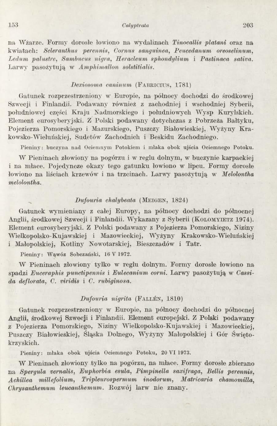 153 Cały pirata 203 na W żarze.