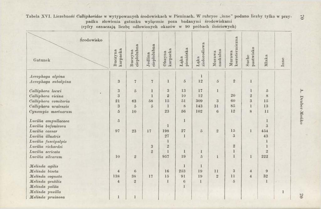 / Tabela X V I. Liczebność Calliphoridae w wytypowanych środowiskach w Pieninach.
