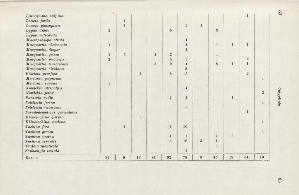 Linnaemyia vulpina i Loewia foeda 1 Loewia phaeoptera 1 Lypha dubia 2 Lypha ruficauda Macroprosopa atrata Macquartia chalconota 1 Macquartia dispar Macquartia grisea 1 3 Macquartia pubiceps 3