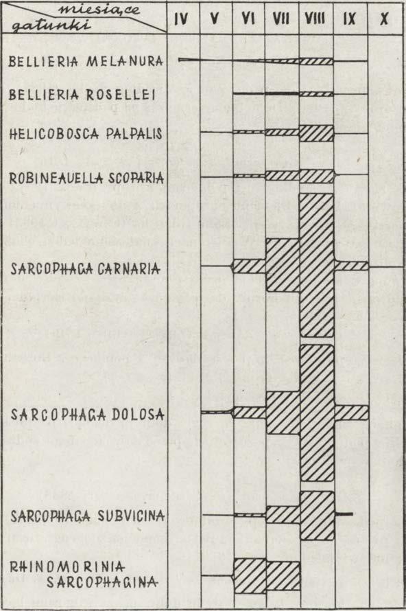 51 Galyptrata 1 0 1 c. d.