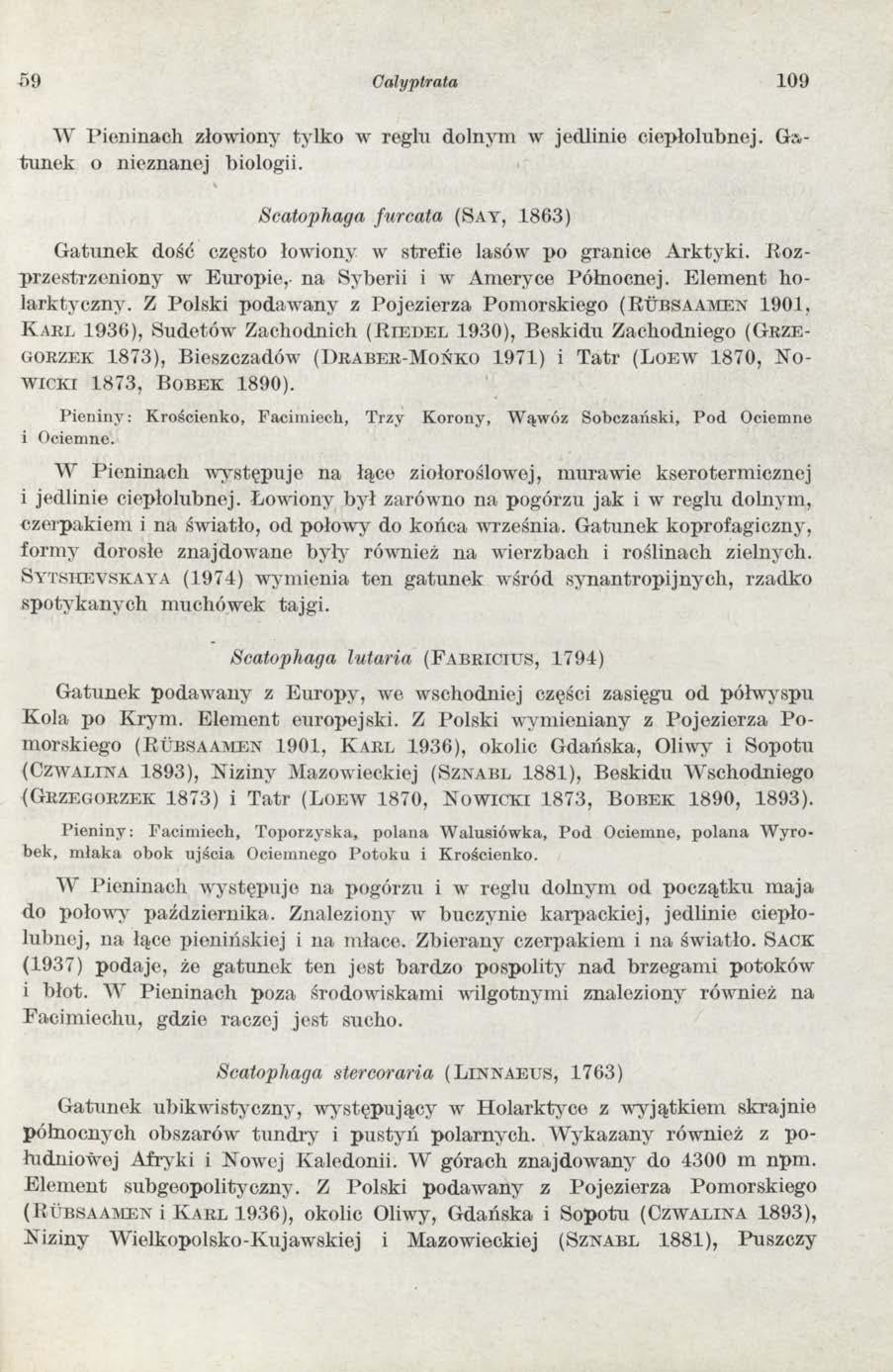 59 Calyptrata 109 W P ieninach złowiony tylko w reglu dolnym w jedlinie ciepłolubnej. G a tu n ek o nieznanej biologii.