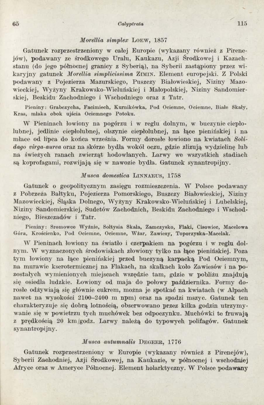 65 Galyptrata 115 Morellia simplex L o e w, 1857 G atu n ek rozprzestrzeniony w całej E uropie (w ykazany rów nież z P ire n e jów), podaw any ze środkowego U ralu, K au k azu, Azji Środkowej i K
