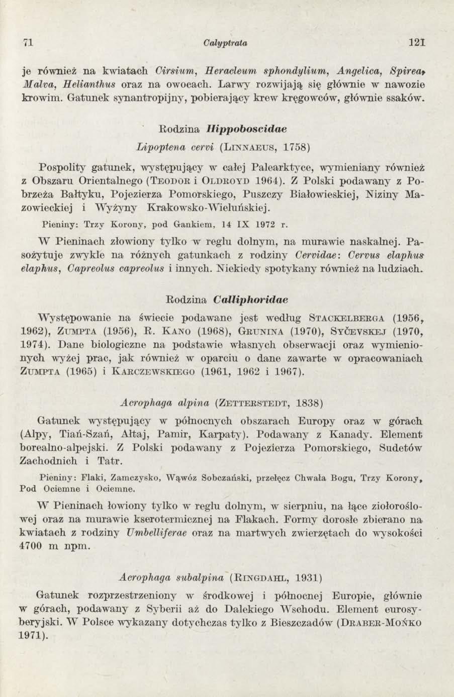 71 Calyptrata 1 2 1 je również n a kw iatach Girsium, Heracleum sphondylium, A ngelica, Spirea> Malva, Helianthus oraz na owocach. Larw y rozw ijają się głównie w nawozie krowim.