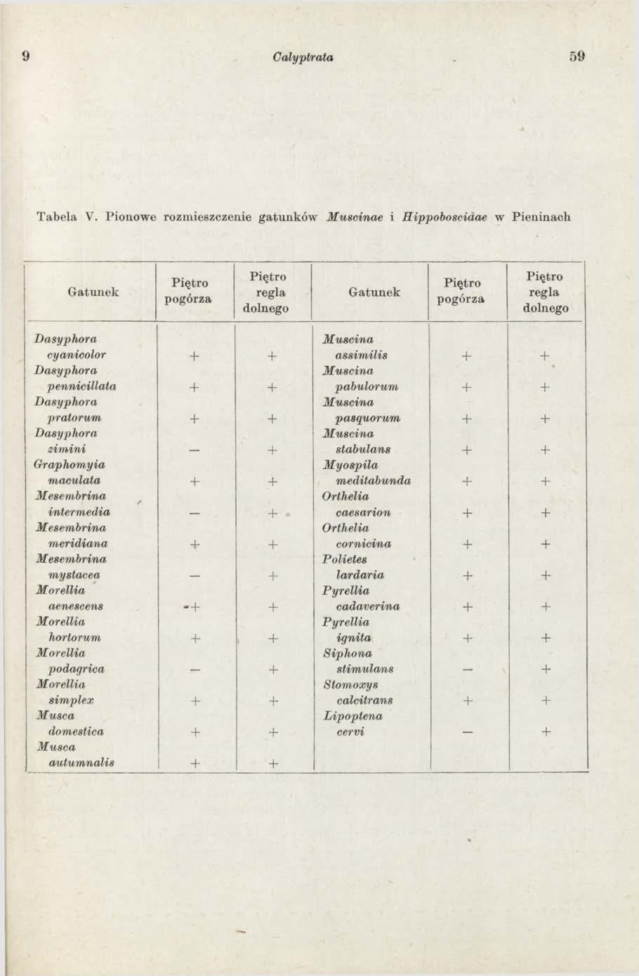 9 C alyptrata 59 Tabela V.