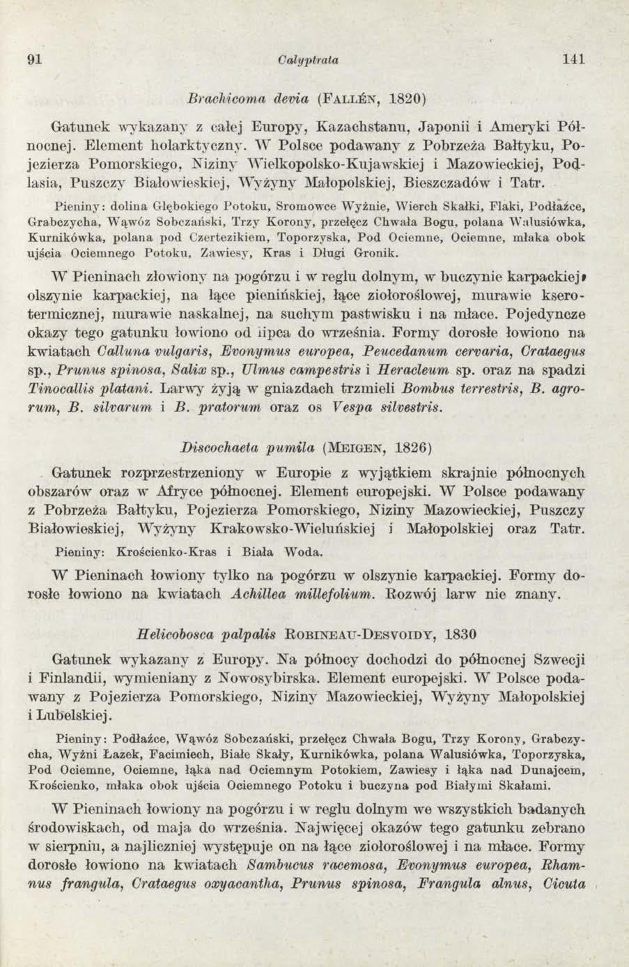 91 Calyptrata 1 1 1 Brachieoma devia ( F a l l e n, 1820) G atunek w ykazany z całej Europy, K azachstanu, Japonii i Am eryki Północnej. E lem ent holarktyczny.
