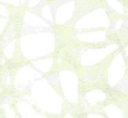 Lauze Silver Arabesque Centralne Pełna
