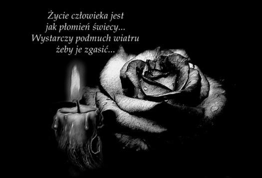 I TL, Monika Nowakowska I TH, Julia Łyko I TH, Jakub Bełżek - I TH.