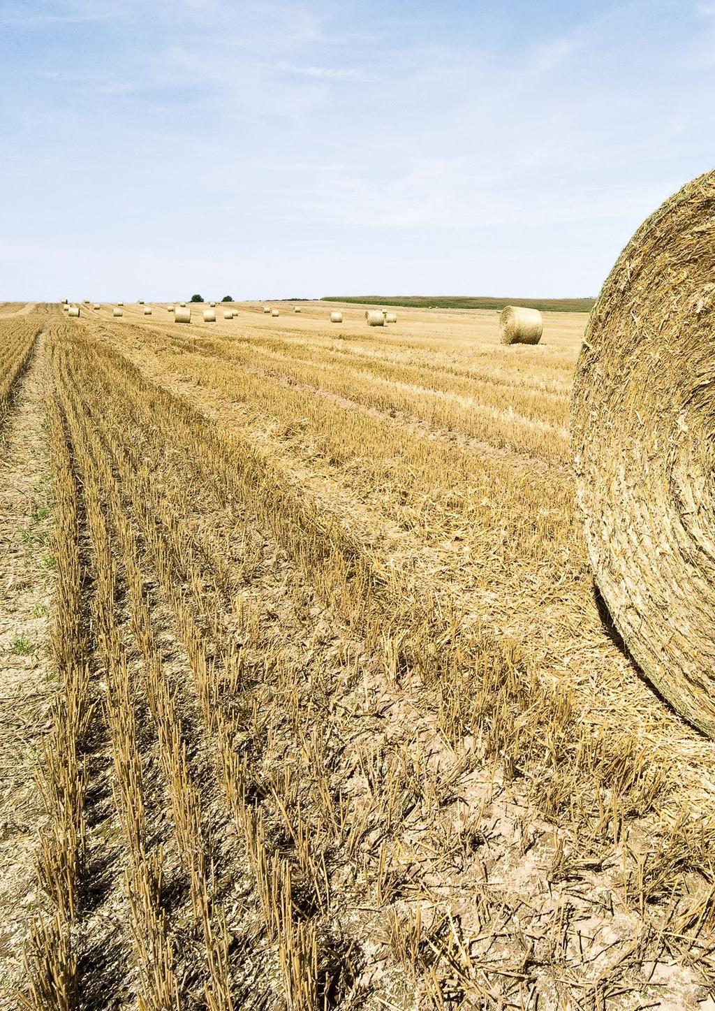 20 WZROST WARTOŚCI BEL Produkty do owijania plonów John Deere zapewniają dwie istotne korzyści.