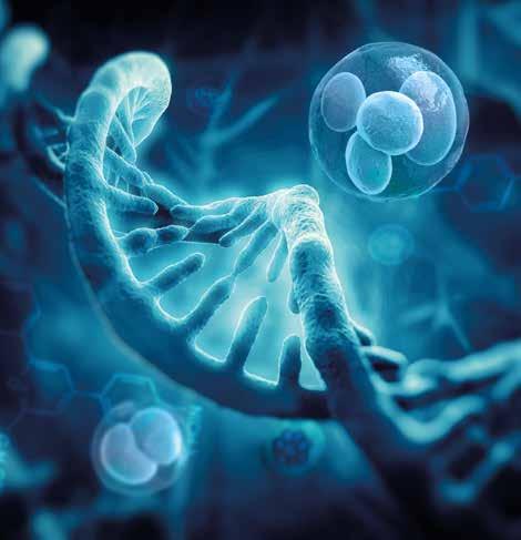 20 PROF. DR HAB. N. MED. RAFAŁ DZIADZIUSZKO, UNIWERSYTET MEDYCZNY, GDAŃSK Skuteczność inhibitorów ALK w leczeniu chorych z przerzutami do OUN Rearanżacje genu ALK (ang.
