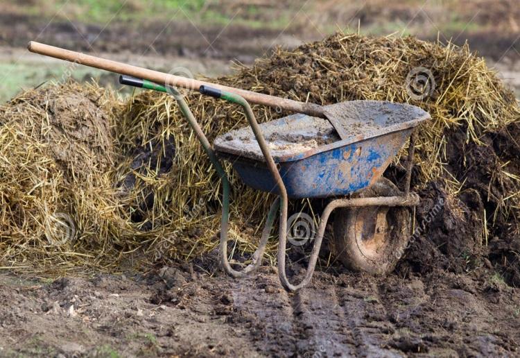 Praktyki wspomagające żyzność gleby i naturalną aktywność mikrobiologiczną utrzymanie