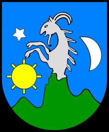 Dziennego