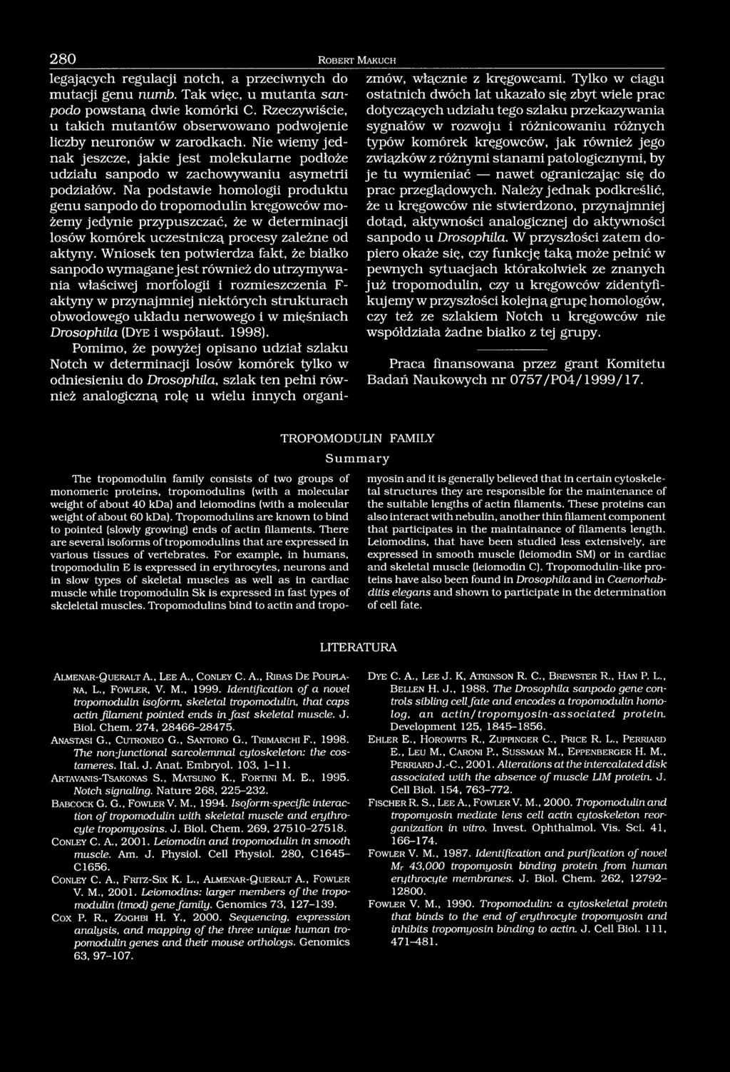 Na podstawie homologii produktu genu sanpodo do tropomodulin kręgowców możemy jedynie przypuszczać, że w determinacji losów komórek uczestniczą procesy zależne od aktyny.