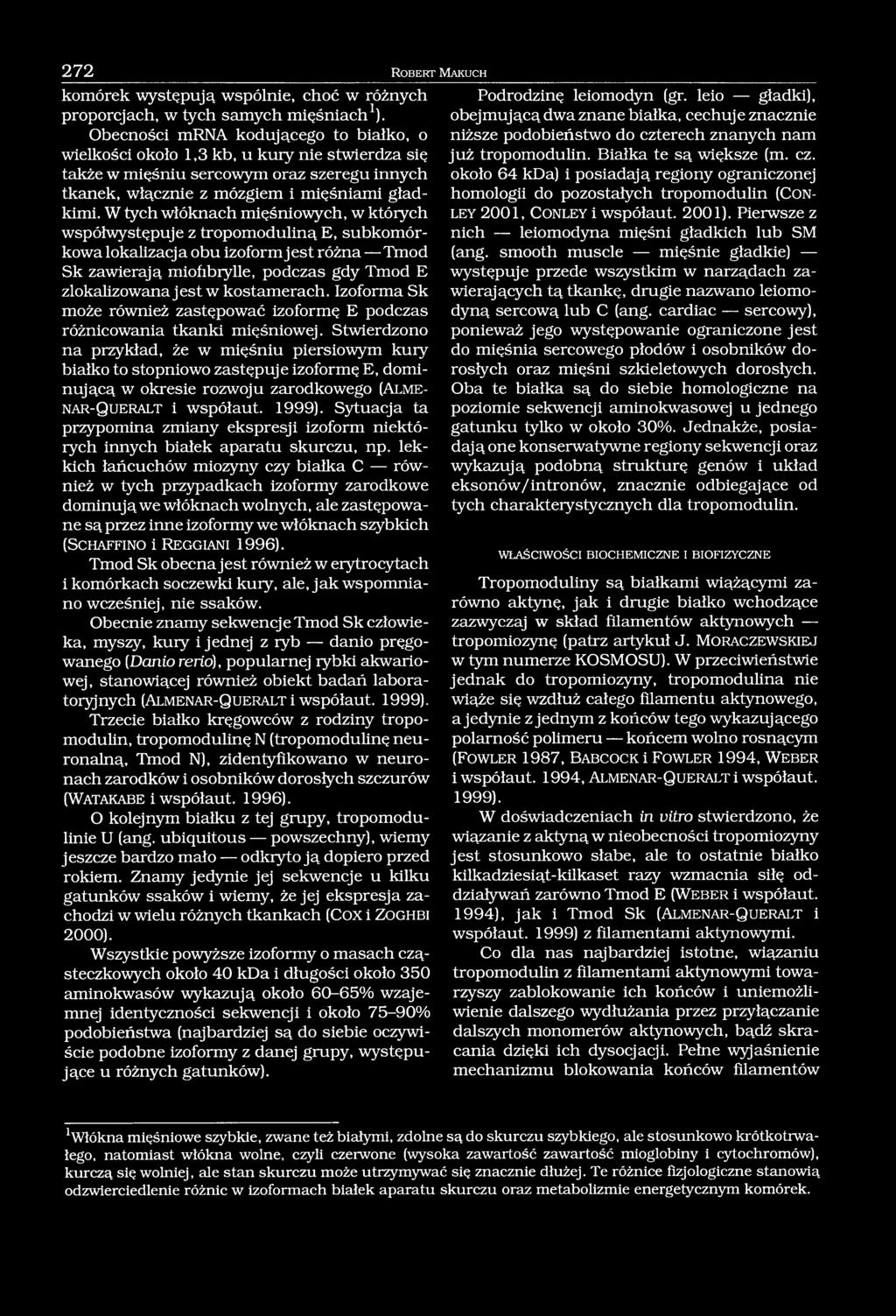 W tych włóknach mięśniowych, w których współwystępuje z tropomoduliną E, subkomórkowa lokalizacja obu izoform jest różna Tmod Sk zawierają miofrbrylle, podczas gdy Tmod E zlokalizowana jest w