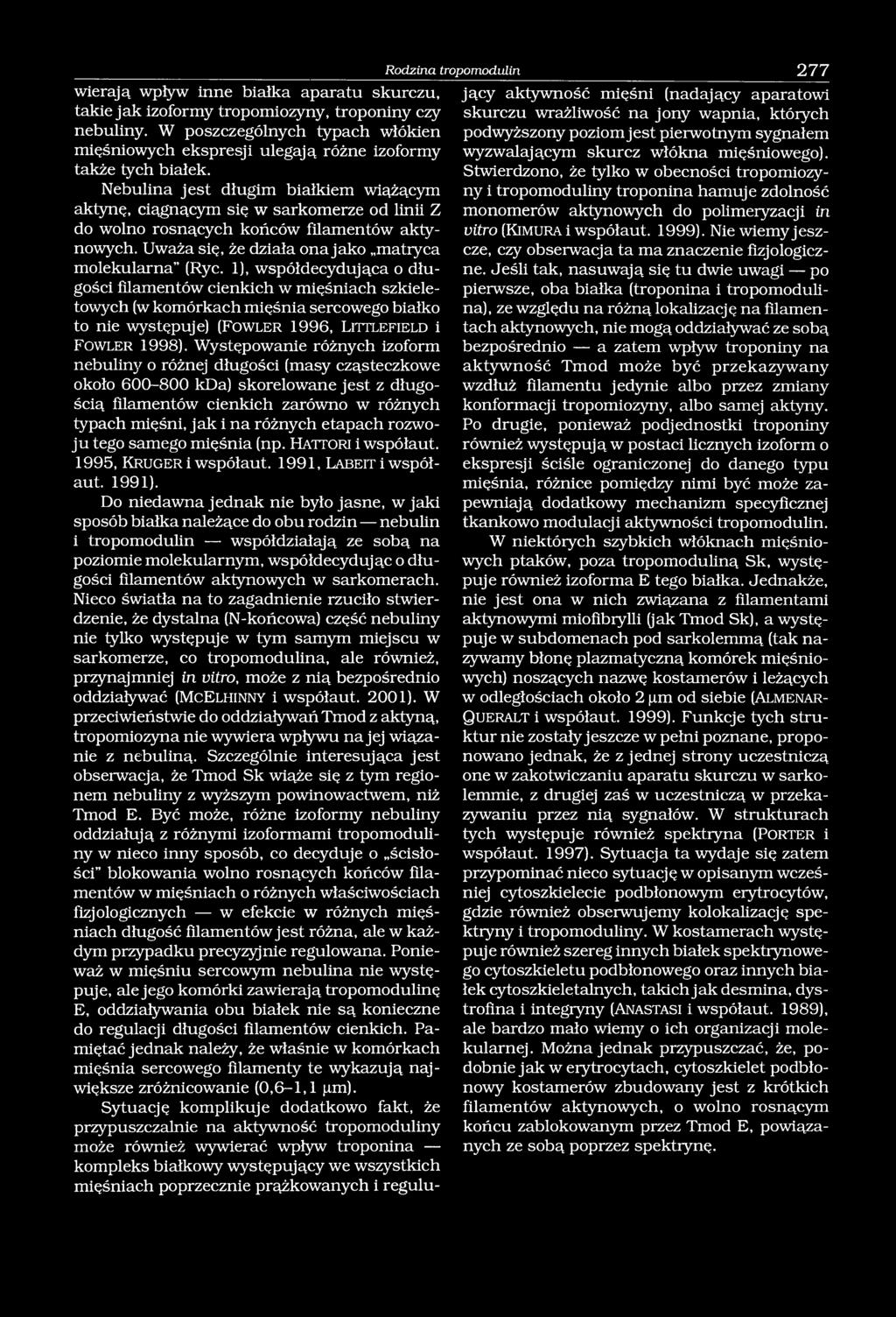 Nebulina jest długim białkiem wiążącym aktynę, ciągnącym się w sarkomerze od linii Z do wolno rosnących końców filamentów aktynowych. Uważa się, że działa ona jako matryca molekularna (Ryc.