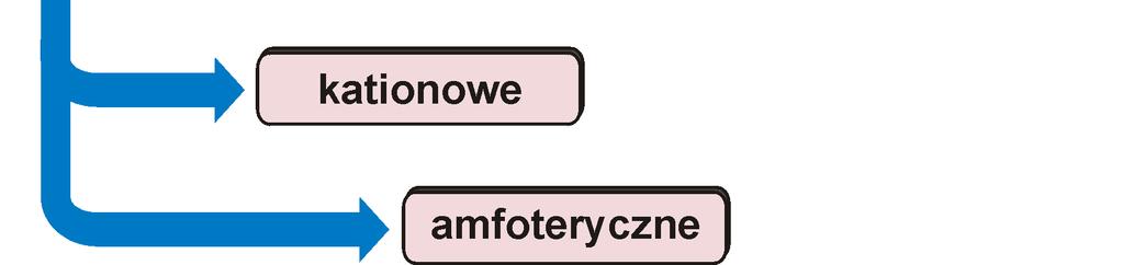 zarówno ładunek dodatni jak i ujemny (Rys. 2). Rys. 2. Klasyfikacja związków powierzchniowo czynnych. III. 3.1. Surfaktanty anionowe Do surfaktantów jonowych anionowych zaliczamy między innymi: 1.