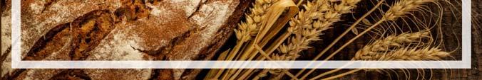 encouraging divine worship and prayer, fostering evangelization and nurturing the spirit of