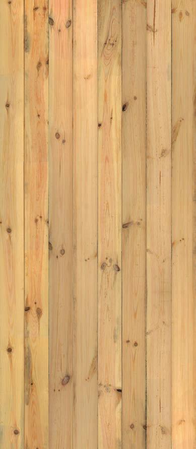 pine umber W