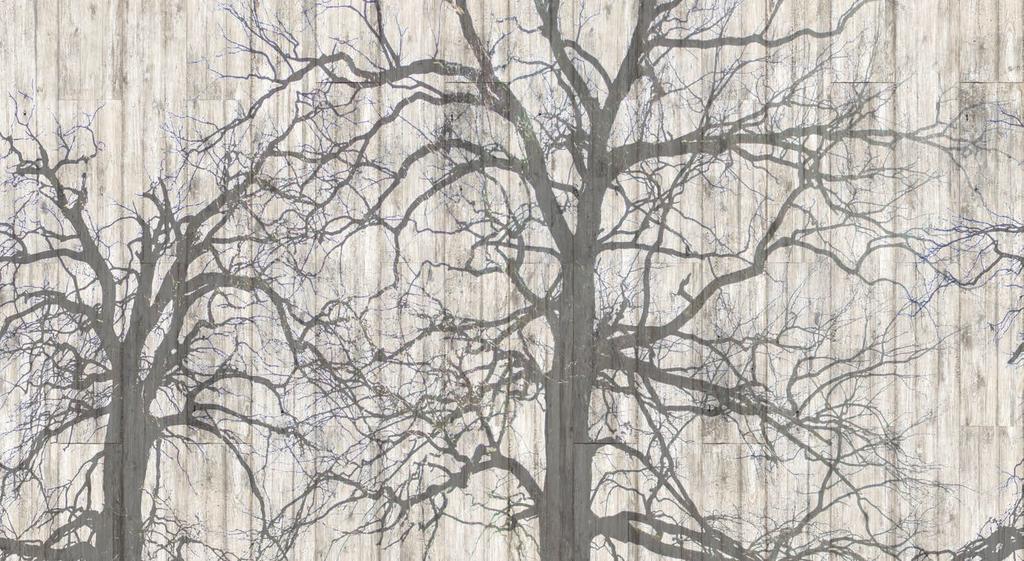 ściana wewnętrzna wall M 270A M 270B M 270C M 270D winter forest Na zamówienie możliwa jest realizacja wielkoformatowego obrazu ułożonego z płyt SCALAMID.