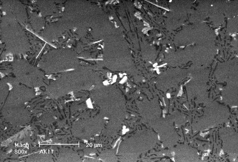 86 Grubość poszczególnych plastrów do badań wynosiła 10 mm. Średnia porowatość z czterech próbek wykonanych w analogicznych warunkach uzyskano równą 48%, przy odchyleniu standardowym równym 0,09.