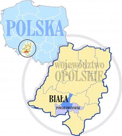 w programach ochrony środowiska oraz wskazówki, co do zawartości programów.