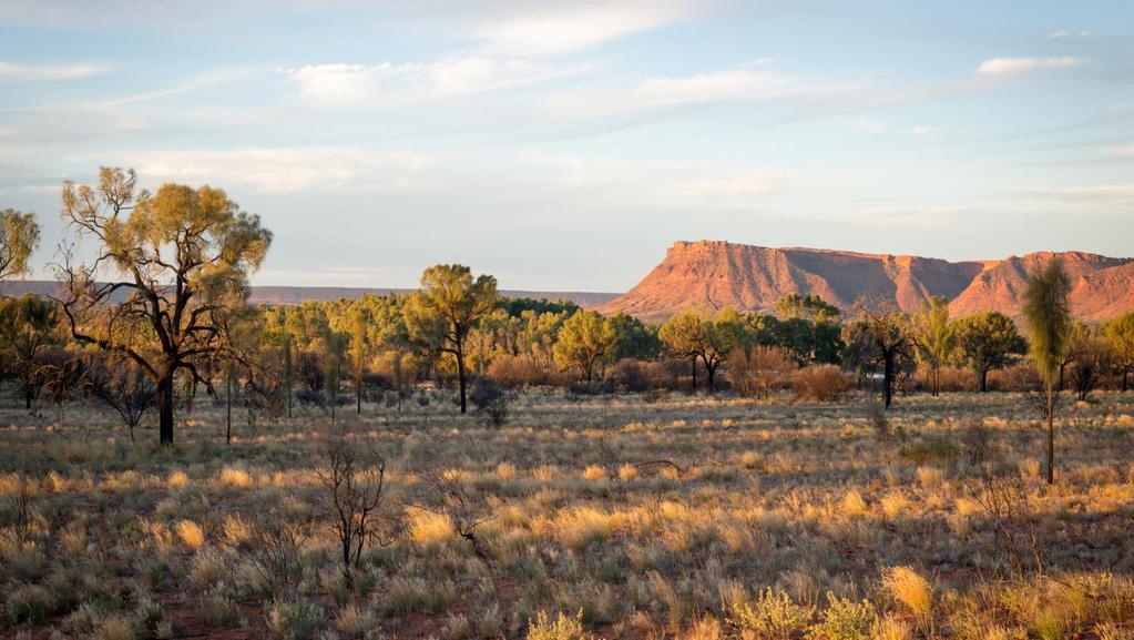 Dzień 4 - SYDNEY/ULURU Po s niadaniu wylot do Yulara. Czekają nas trzy dni na Outbacku, na samym s rodku kontynentu. Po przylocie odbierzemy auta i ruszymy do Parku Narodowego Uluru-Kata Tjuta.