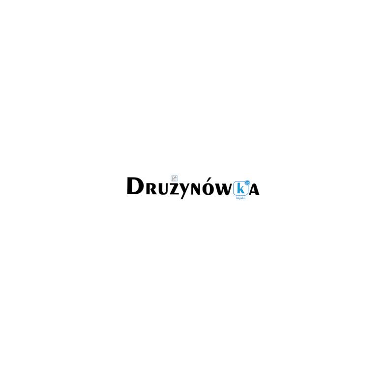 Zwycięzcy mają zapewniony darmowy pakiet startowy w kolejnej edycji. O poprawność wyników i sprawny przebieg zawodów dba profesjonalna obsługa sędziowska.
