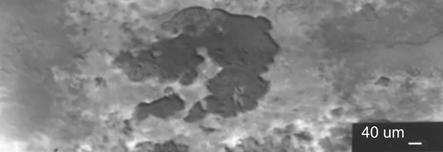 1a) (K=31,46%, P=14,92%, Zn=5,70%, Ca=18,70%, Fe=2,03%, Al=0,06%), d) spektrogram i skład chemiczny z lewej strony (rys.
