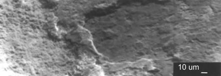 2a) (K=1,39%, P=11,26%, Zn=17,90%, Ca=29,59%, Fe=2,29%, Al=0,29%), d) spektrogram i skład chemiczny z lewej strony (rys.