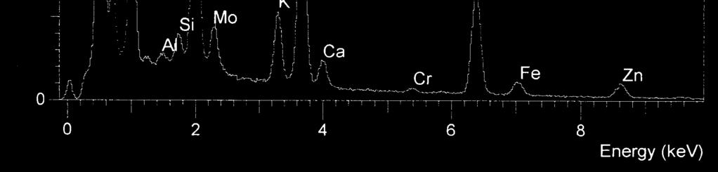 wyznaczonej zawartości masowej i atomowej 1b Udział masowy, % Udział atomowy, % Nad cylindrem 1 Nad cylindrem 2 Nad cylindrem 1 Nad cylindrem 2 1c 1d 2b 2c 2d Al 0,33 0,06 0,12 0,51 0,29 1,69 0,55