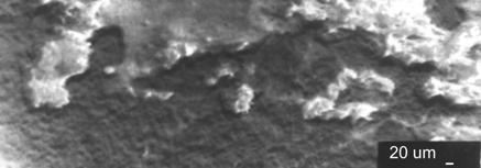 3a) (K=10,84%, P=18,91%, Zn=6,44%, Ca=37,15%, Fe=3,28%, c) spektrogram i skład chemiczny z powierzchni płaskiej bez narostu obszar ciemny (rys.