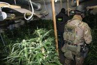 W minionym tygodniu wspólne działania przeprowadzili także policjanci CBŚP z Zarządu w Gorzowie Wielkopolskim z Wydziału w Zielonej Górze z funkcjonariuszami