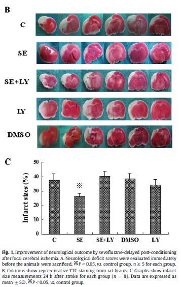 mitochondrialnego GSK-3β