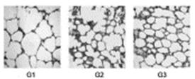 Pulm Pharmacol Ther. 2014 doi: 10.1016/j.pupt.2013.12.005. Kalimeris et al.