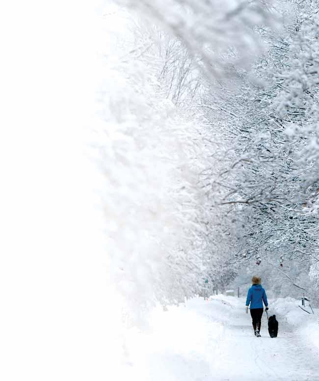 lektura duchowa Przygotujcie drogę Panu Iz 40, 3 Drogę Pańską, którą rozkazano nam przygotować, przygotowujemy bracia wtedy, gdy nią kroczymy, a przygotowując ją, już po niej kroczymy.